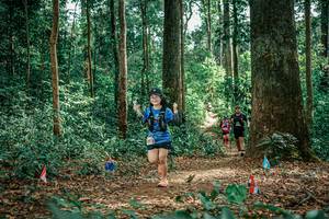 BIB: 
                            <button type="button" onclick="openModal(26057756)" class="btn btn-primary btn-sm float-right btn-popup" data-toggle="modal" data-target=".modal-high-quality">
                        <i class="fas fa-shopping-cart"></i> Add to Cart
                    </button>
                                            <button type="button" onclick="isThisMe(26057756, true)" class="btn btn-success btn-sm float-right btn-popup btn-isme hidden" data-toggle="tooltip" data-placement="bottom" title="นี่คือรูปของคุณใช่ไหม คลิกที่นี่เพื่อเอาเข้าอัลบั้ม">
                        <i class="fas fa-plus"></i> Add to album
                    </button>
                    <button type="button" onclick="isThisMe(26057756, false)" class="btn btn-warning btn-sm float-right btn-popup btn-isnotme hidden">
                        <i class="fas fa-ban"></i> Remove from album
                    </button>